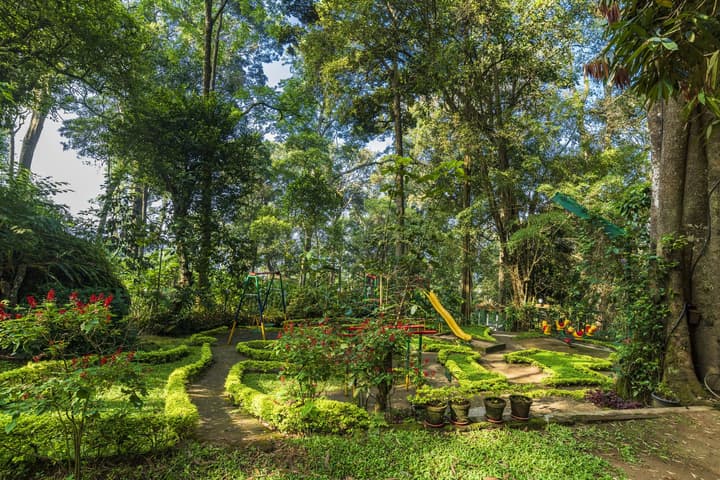 The Tall Trees Munnar
