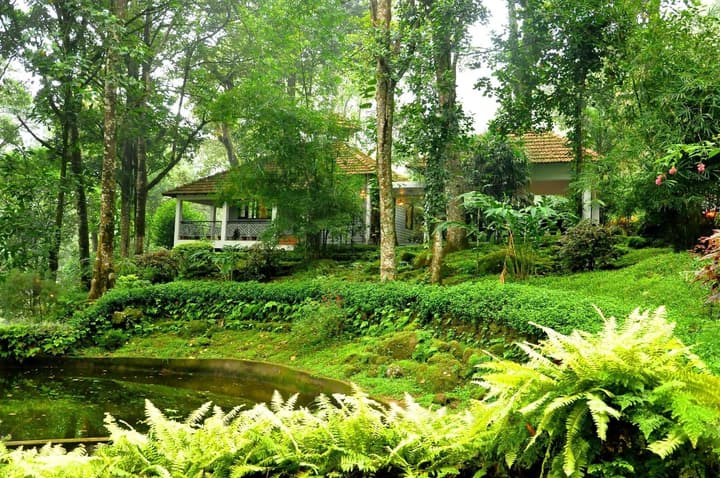 The Tall Trees Munnar