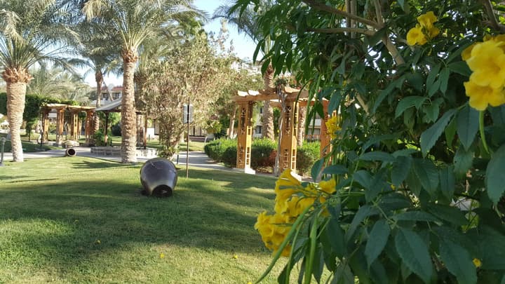JAZ Elite Casa Del Mar Beach - All inclusive