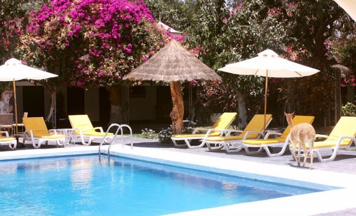 Hacienda Majoro Boutique & Resort
