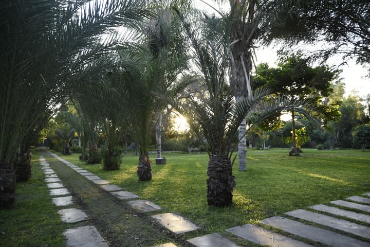 Hacienda Majoro Boutique & Resort
