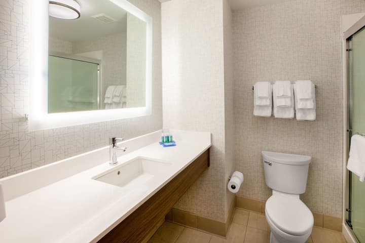 Holiday Inn Express & Suites Del Rio by IHG