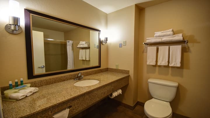 Holiday Inn Express & Suites Del Rio by IHG