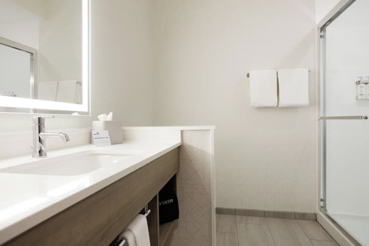 Holiday Inn Express & Suites Del Rio by IHG