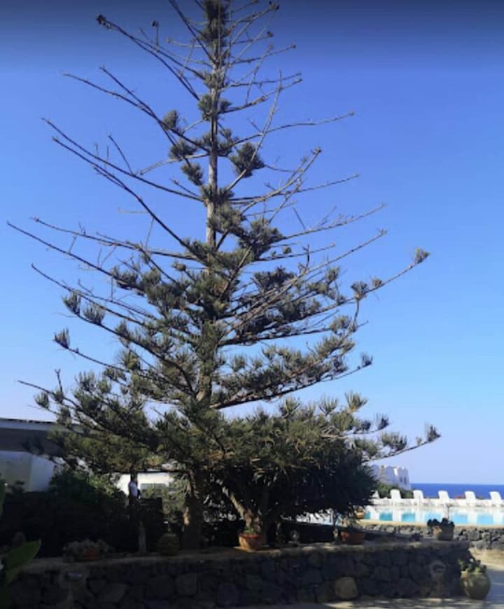Cossyra Hotel
