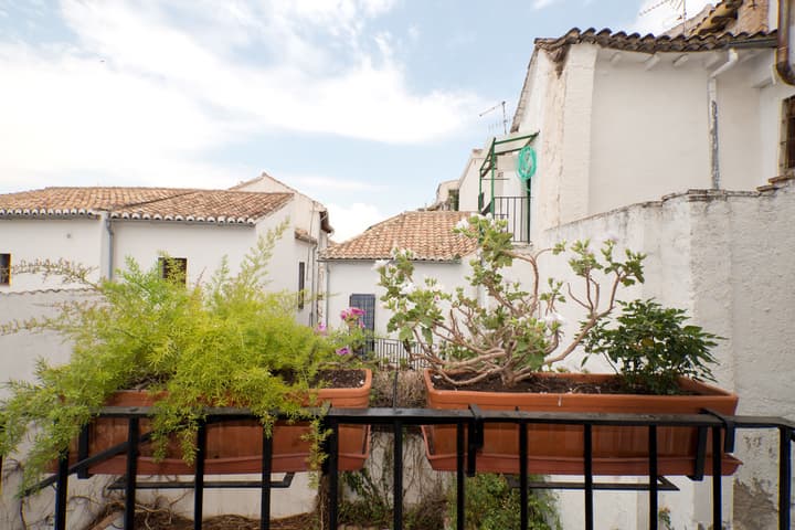 Oasis Backpackers Hostel Granada