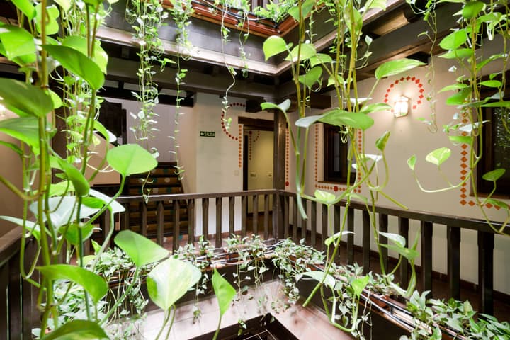 Oasis Backpackers Hostel Granada