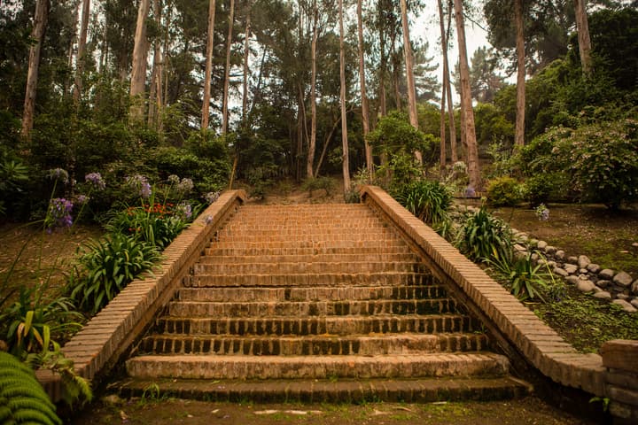 Hotel Bosque de Reñaca