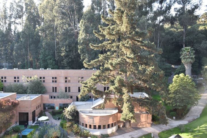 Hotel Bosque de Reñaca