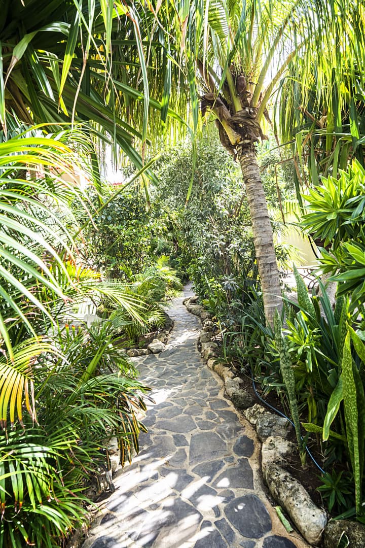 Pietermaai Boutique Hotel