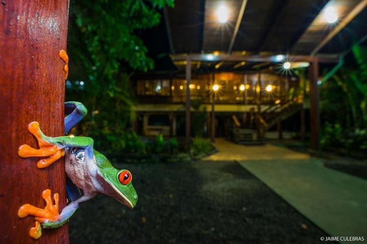 Selva Verde Lodge