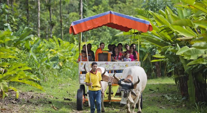Selva Verde Lodge