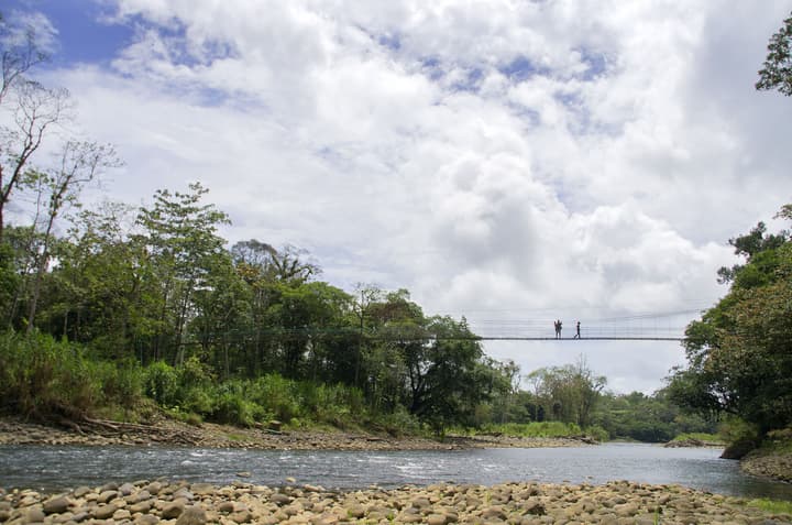 Selva Verde Lodge