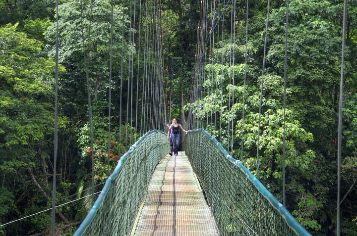 Selva Verde Lodge