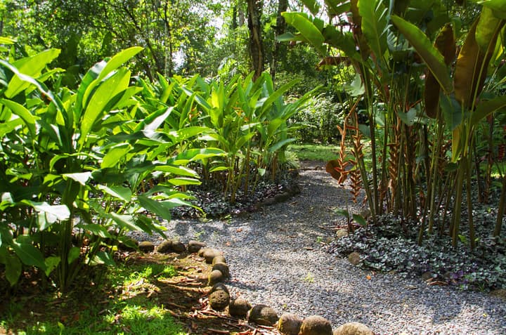 Selva Verde Lodge