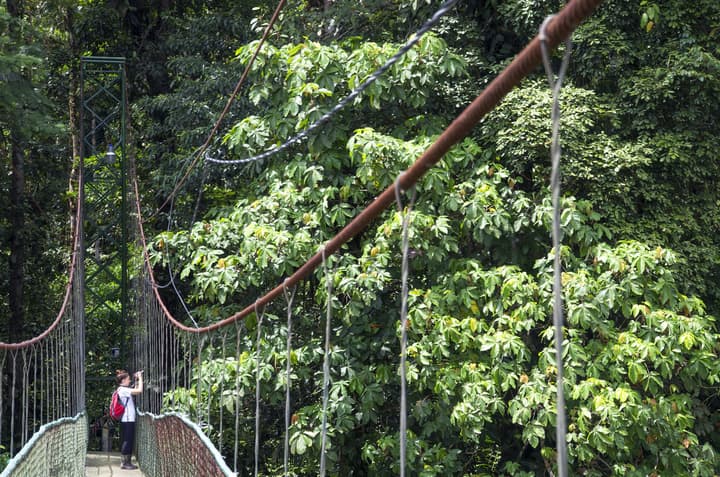 Selva Verde Lodge