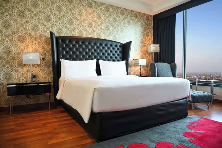 Radisson Blu Hotel New Delhi Paschim Vihar