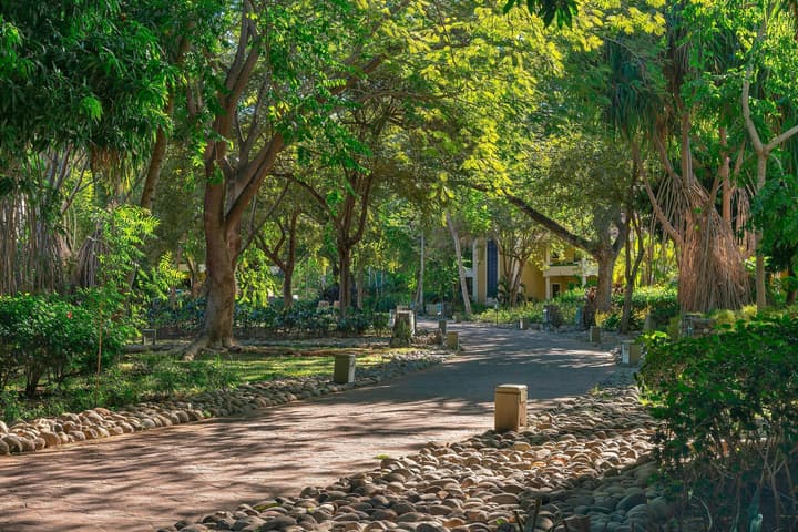 The Westin Reserva Conchal, an All-Inclusive Golf Resort & Spa