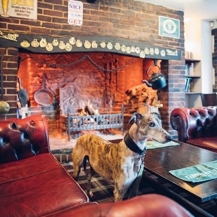 The Jolly Drover