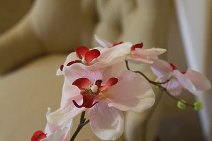 Hotel Intersur Recoleta
