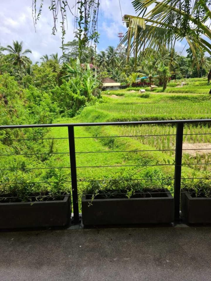 Ayurvedagram Bali - The Heart of Wellness & Healing