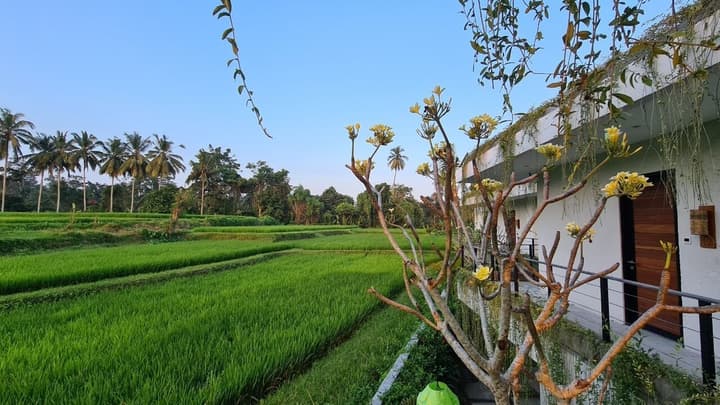 Ayurvedagram Bali - The Heart of Wellness & Healing