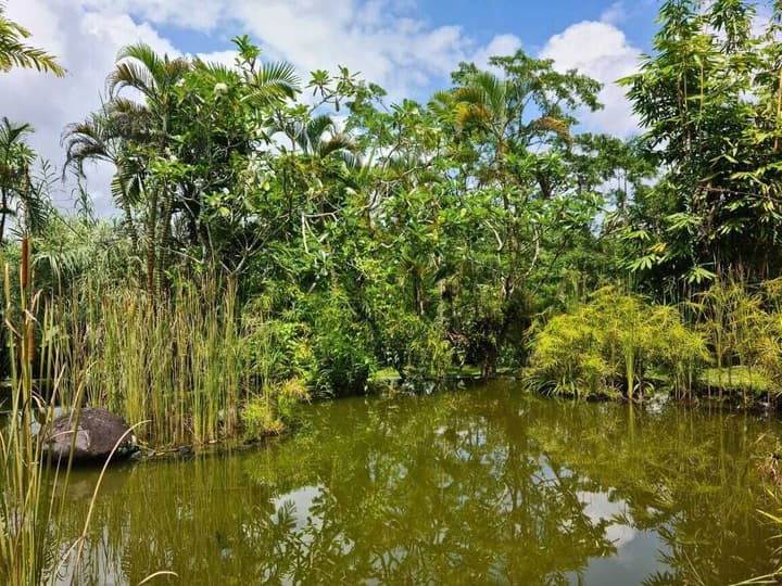 Ayurvedagram Bali - The Heart of Wellness & Healing