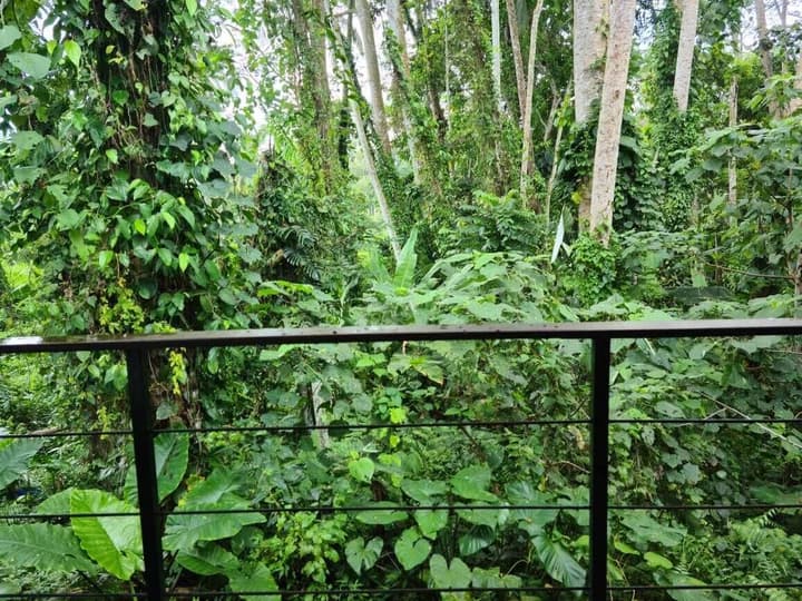 Ayurvedagram Bali - The Heart of Wellness & Healing