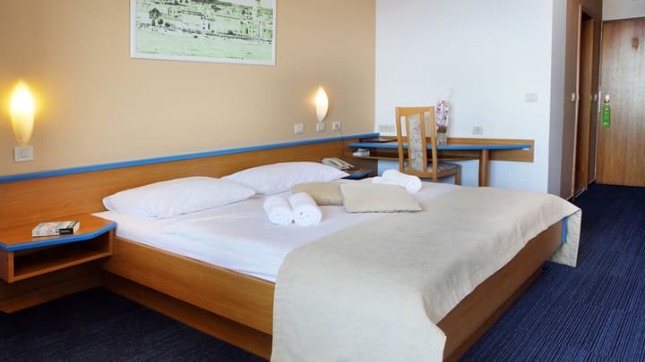 Hotel Drazica