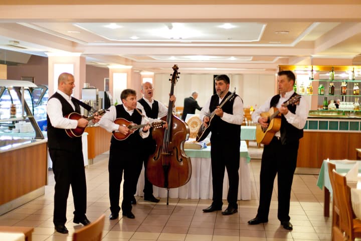 Hotel Drazica