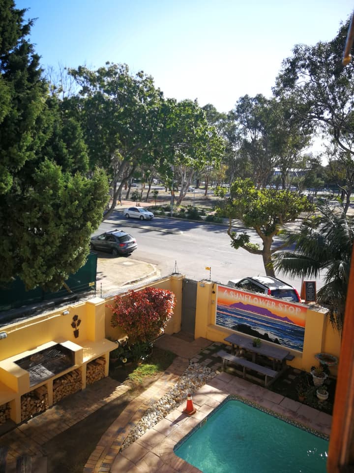 A Sunflower Stop - Hostel