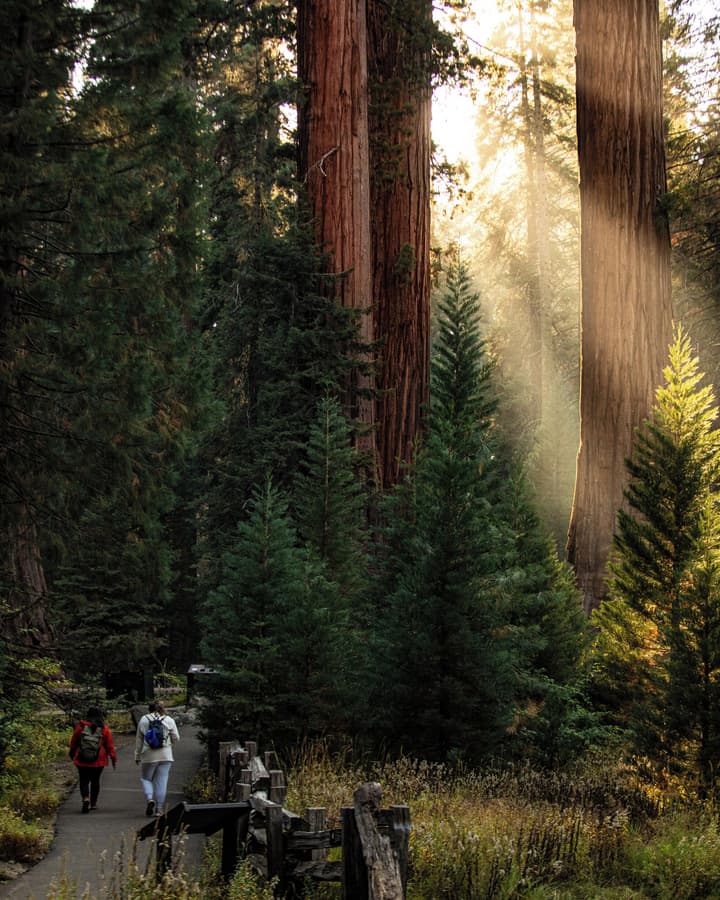 John Muir Lodge