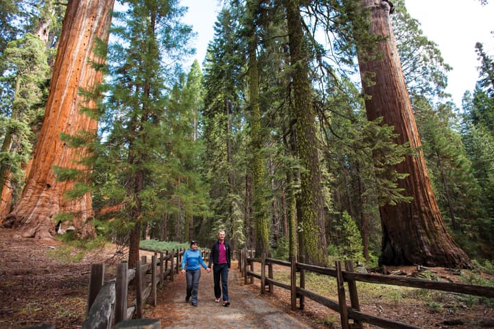 John Muir Lodge