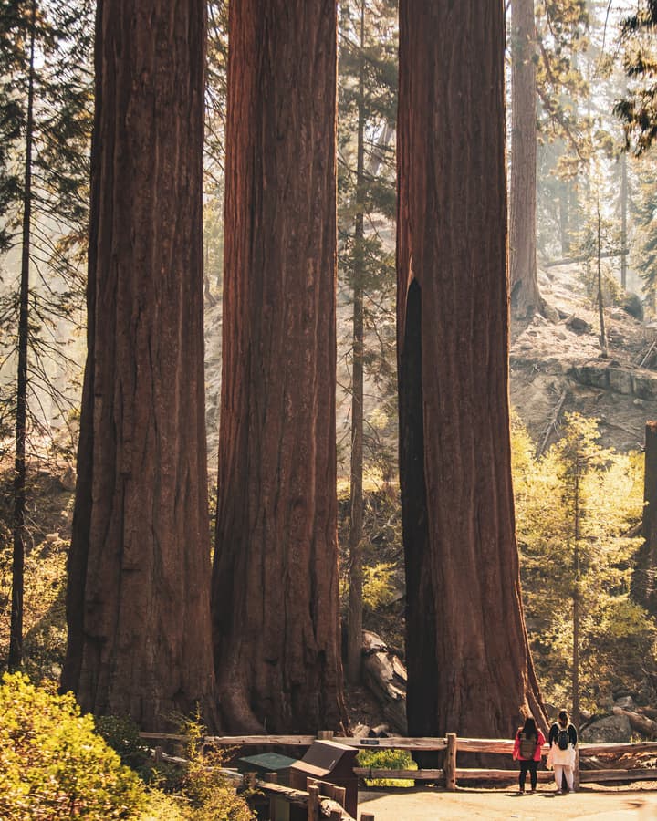 John Muir Lodge