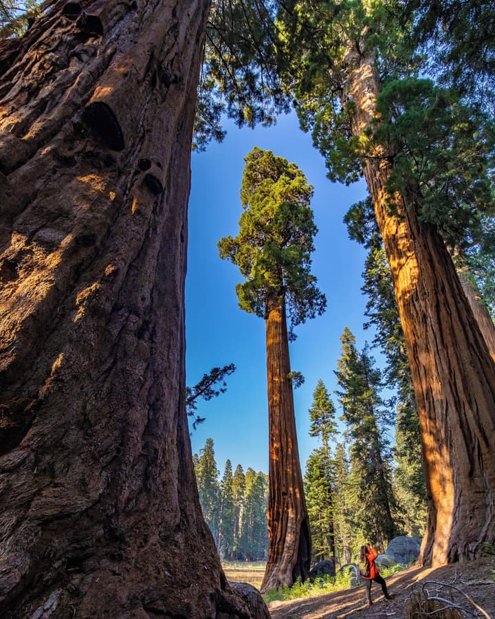 John Muir Lodge