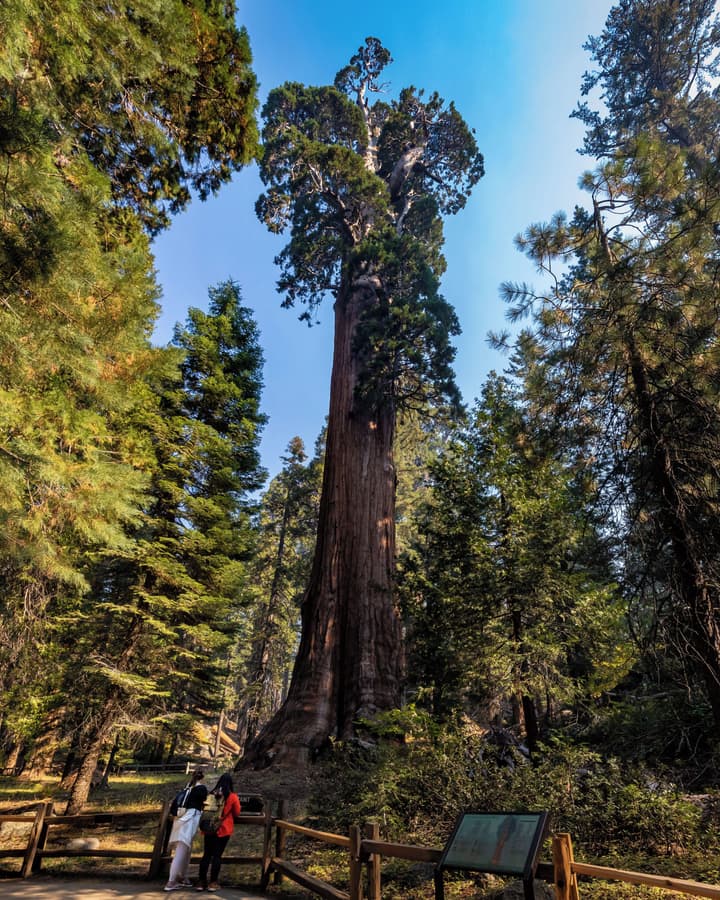 John Muir Lodge