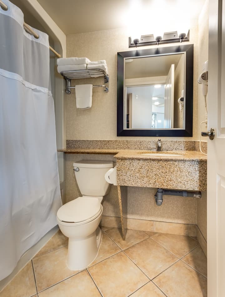 Monte Carlo Inn & Suites Downtown Markham