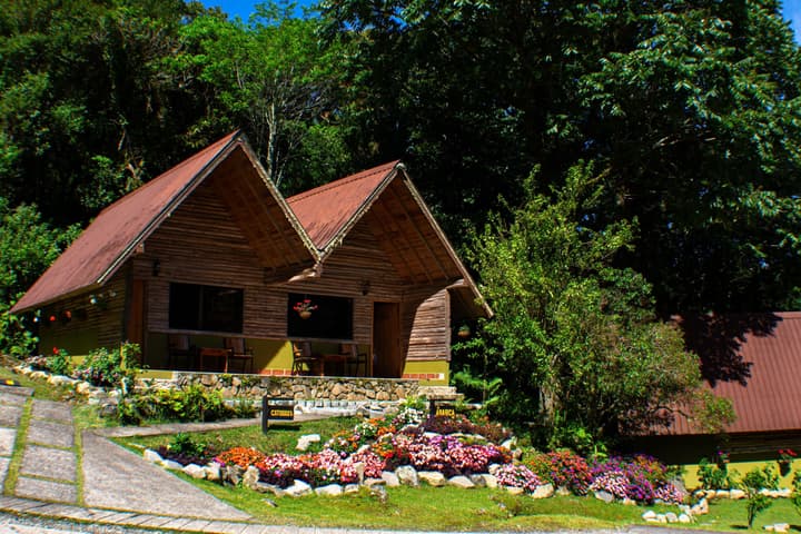 Tree Trek Boquete Adventure Park