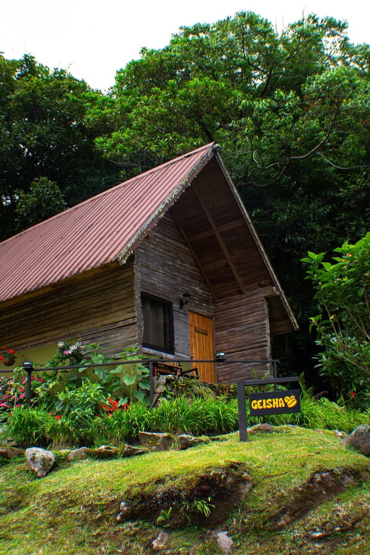 Tree Trek Boquete Adventure Park