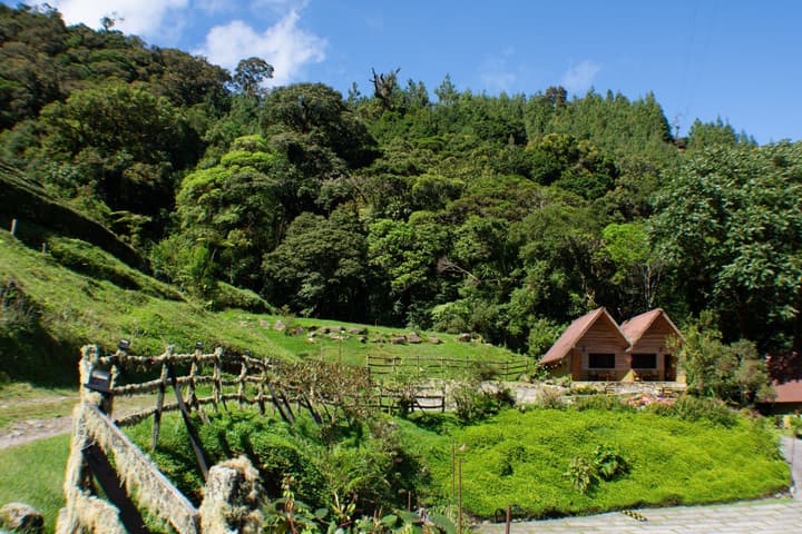 Tree Trek Boquete Adventure Park