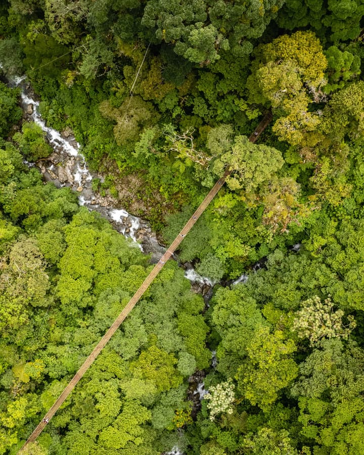 Tree Trek Boquete Adventure Park