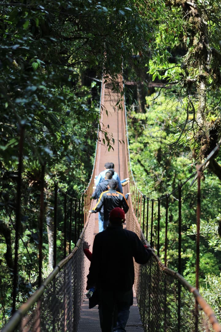 Tree Trek Boquete Adventure Park