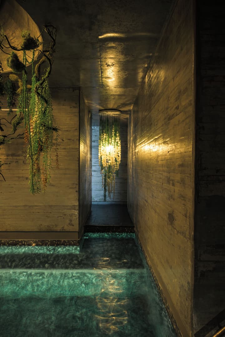 Entre Cielos Wine & Wellness Hotel