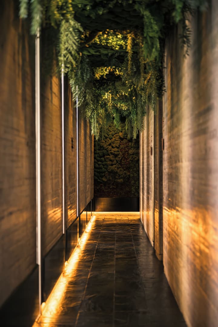 Entre Cielos Wine & Wellness Hotel