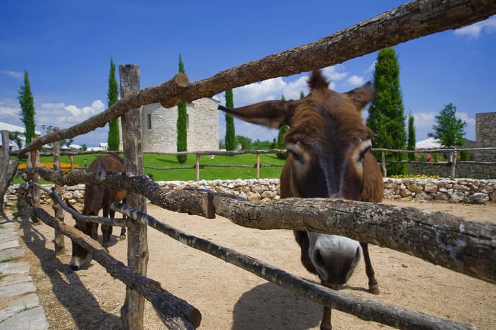 Herceg Etno Selo Medjugorje
