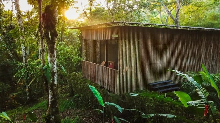 Hamadryade Lodge