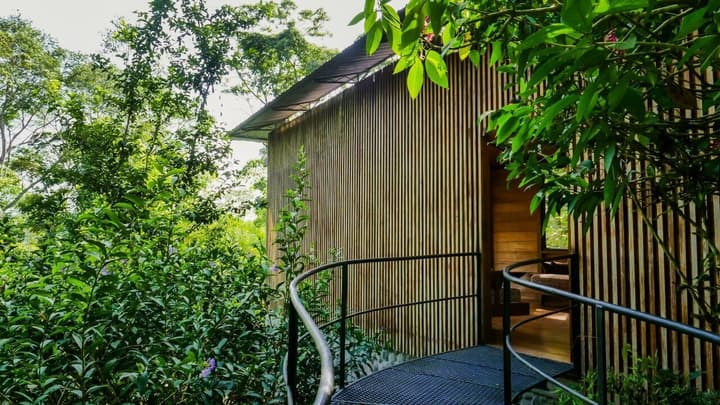 Hamadryade Lodge
