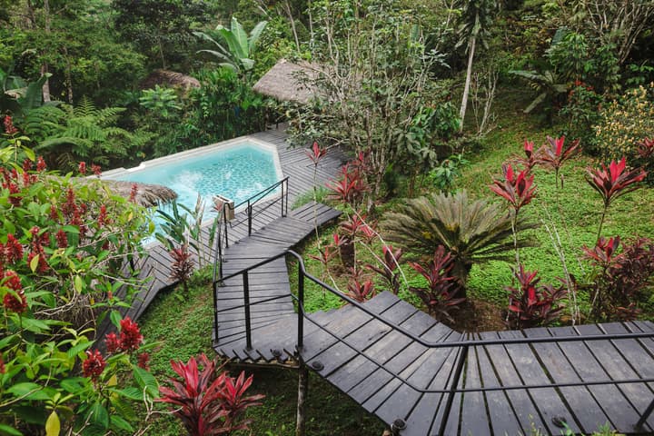 Hamadryade Lodge