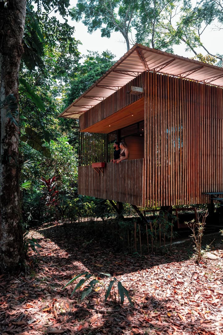 Hamadryade Lodge