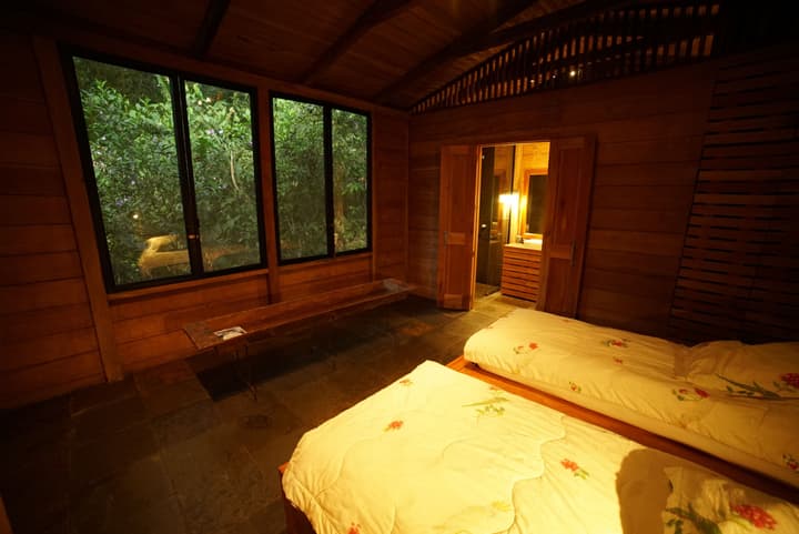 Hamadryade Lodge